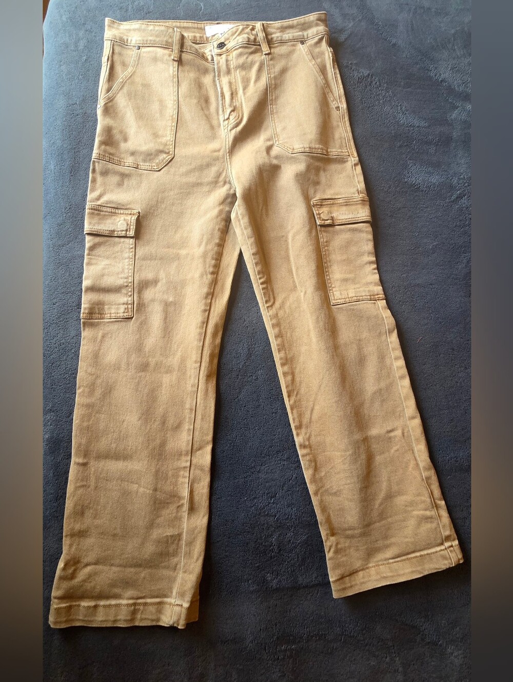 Risen Los Angeles Women's Plus Size High Rise Cargo Pants - Size 1XL